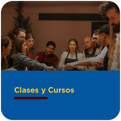 ILATINA_Escuela_ClasesCursos
